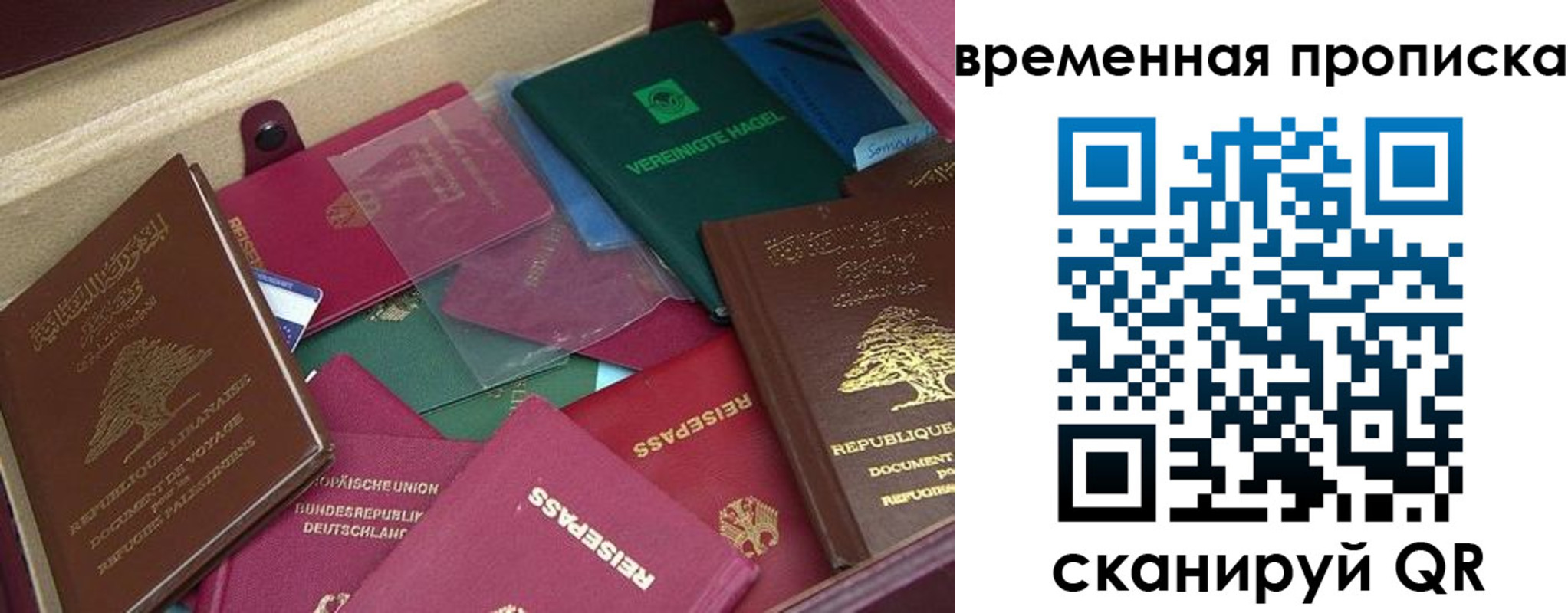 прописка в Дмитрове